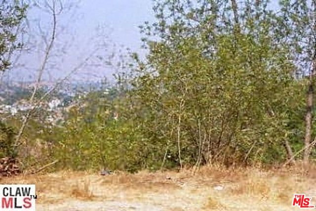 MLS# 23331257