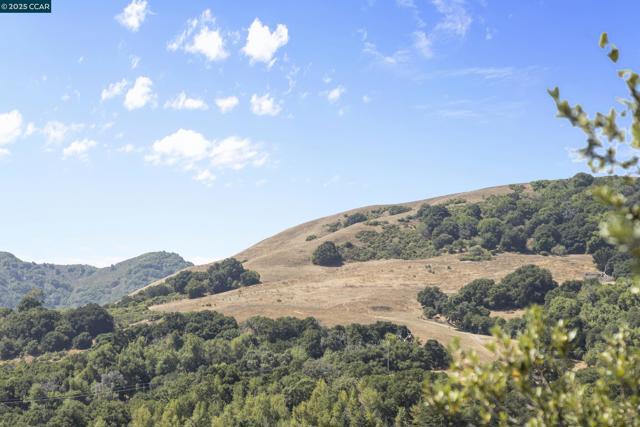 25 Watchwood Ct, Orinda CA: https://media.crmls.org/mediaz/b20eced2-a0a5-416b-a2fa-c5b28564bc96.jpg