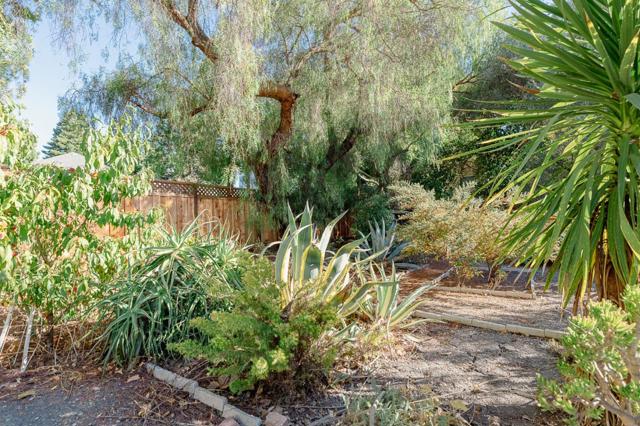 453 N Rengstorff Avenue, Mountain View CA: https://media.crmls.org/mediaz/b2106495-75f8-42e0-9c29-3006c8cb9dbc.jpg