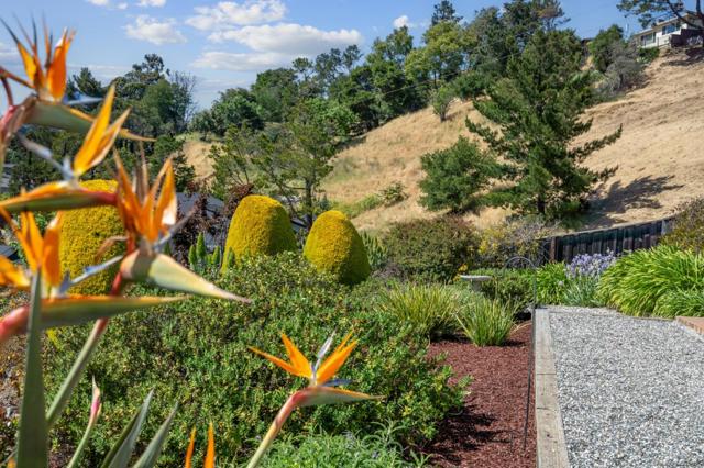 1243 Homewood Avenue, San Mateo CA: https://media.crmls.org/mediaz/b2154967-693e-4aff-9288-16bc8aa3cc8f.jpg