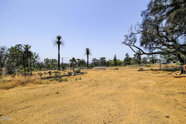 677 E Palm Street, Altadena CA: https://media.crmls.org/mediaz/b22c3d3e-6d9a-430e-8dab-9e24affed379.jpg