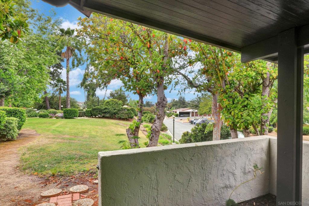 16470 Caminito Vecinos - photo 20