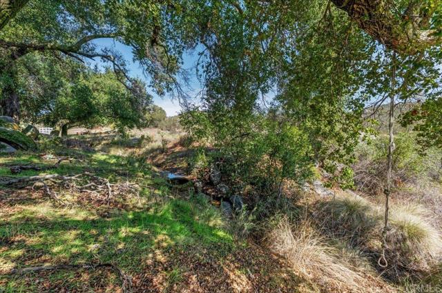 Detail Gallery Image 55 of 71 For 31308 Highway 94, Campo,  CA 91906 - 4 Beds | 2/1 Baths