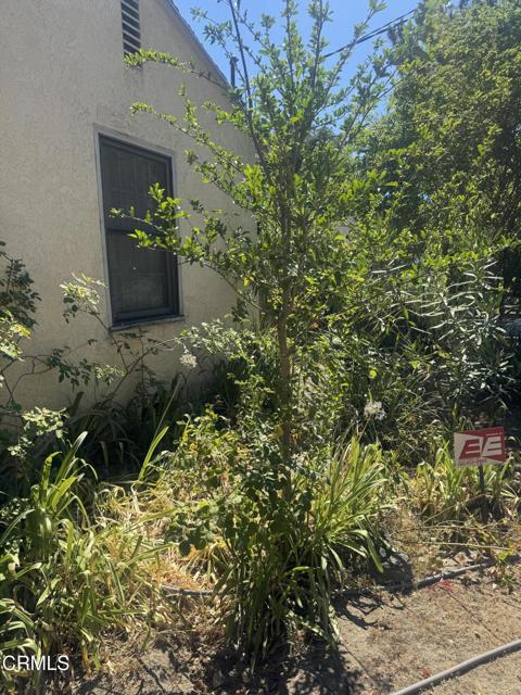 238 W Le Roy Avenue, Arcadia CA: https://media.crmls.org/mediaz/b25405c4-26ab-40eb-9c00-a74e3bfcc665.jpg