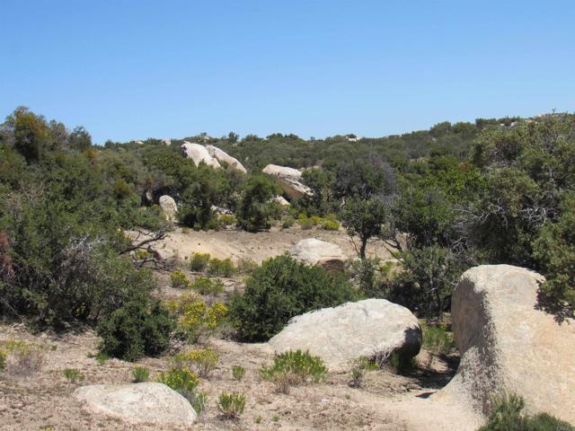 Detail Gallery Image 19 of 47 For 200 Acres Mccain Valley Rd, Boulevard,  CA 91905 - – Beds | – Baths