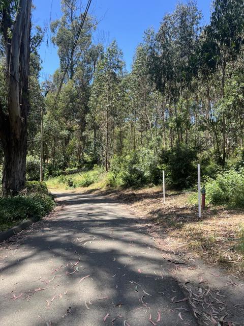 17160 Wilson Way, Royal Oaks CA: https://media.crmls.org/mediaz/b25522f2-966a-4b2a-a6de-14b67621c391.jpg