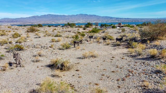 Image 71 of 83 For 12600 Havasu Lake Road