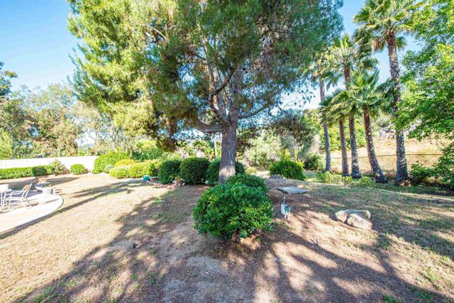 2432 Live Oak Road, Escondido CA: https://media.crmls.org/mediaz/b25f01c7-9010-4ae9-92f3-485e7bac0563.jpg