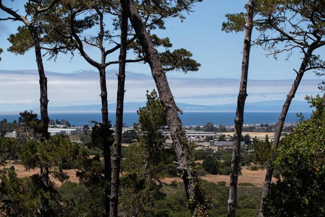 7567 Paseo Vista, Monterey CA: https://media.crmls.org/mediaz/b2610e94-6d53-4a9a-951c-b34e78475f5f.jpg
