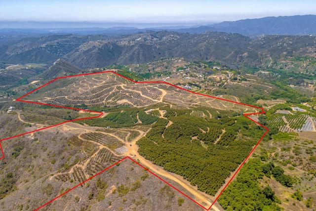 Detail Gallery Image 10 of 40 For 45000 Rancho Fallbrook Rd, Temecula,  CA 92590 - – Beds | – Baths