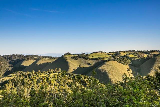 23 Tehama (Homesite 40), Carmel CA: https://media.crmls.org/mediaz/b2659462-3efa-427f-9185-19c3e52e4280.jpg