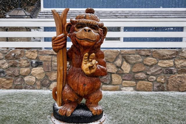 Detail Gallery Image 15 of 19 For 42988 Moonridge Rd, Big Bear Lake,  CA 92315 - 4 Beds | 2 Baths