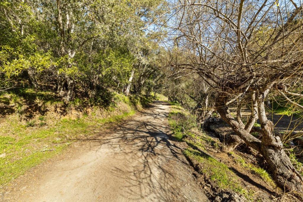 MLS #ML81952882 image #16