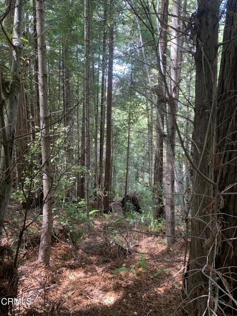 Detail Gallery Image 31 of 41 For 23501 Branscomb Rd, Westport,  CA 95488 - – Beds | – Baths