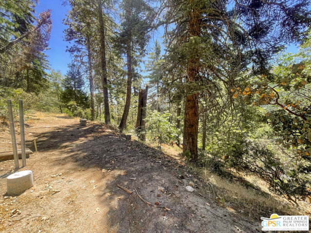 6307 Cedar Court, Angelus Oaks CA: https://media.crmls.org/mediaz/b274f278-fc06-4fab-8a1d-1b16aebed2bd.jpg