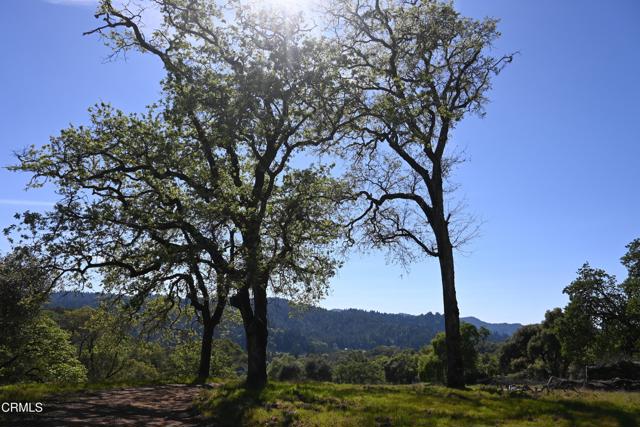 Detail Gallery Image 27 of 59 For 24051 Fig Tree Ln, Yorkville,  CA 95494 - – Beds | – Baths