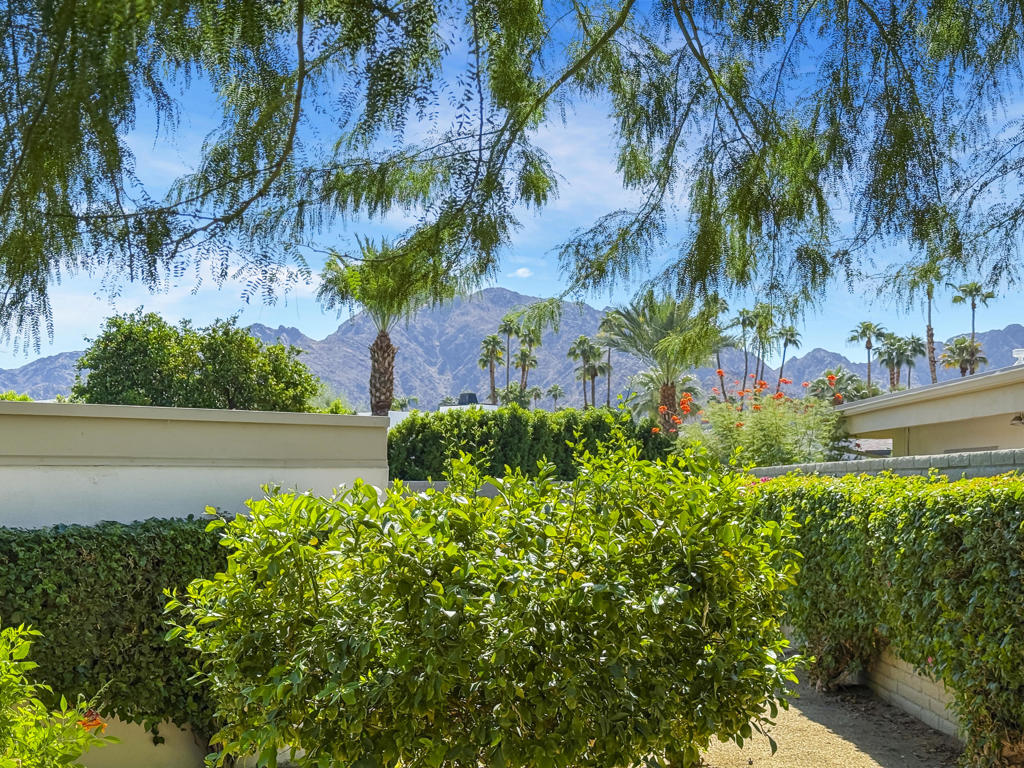 MLS #219138742DA image #30