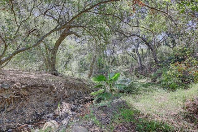 0 Camino Estribo, Temecula CA: https://media.crmls.org/mediaz/b281da8f-2643-45fd-b7ff-0dd74b44ac6f.jpg
