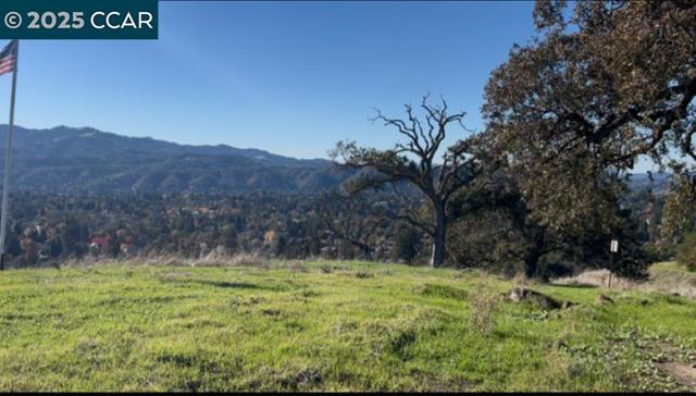 2378 Heritage Oaks Dr, Alamo CA: https://media.crmls.org/mediaz/b2823c7b-189f-4867-b4c6-e4f649bc0459.jpg