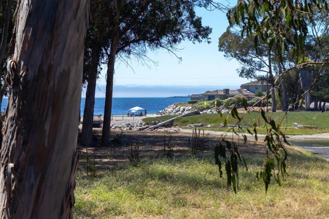 125 Moran Way, Santa Cruz CA: https://media.crmls.org/mediaz/b287e436-df59-4adb-b1f4-a3ffb9a579fc.jpg