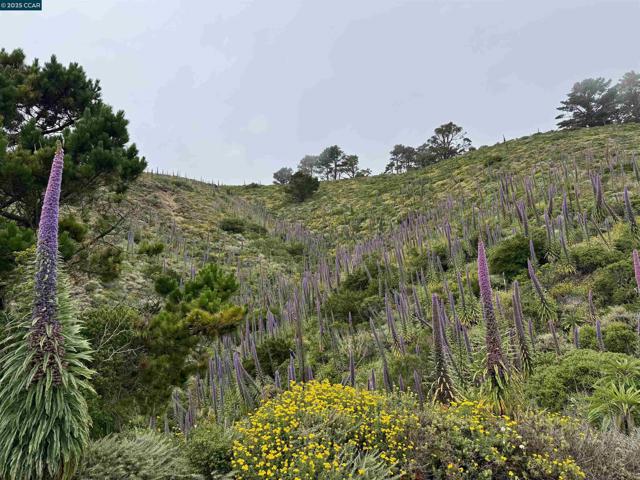 290 Olympian Way, Pacifica CA: https://media.crmls.org/mediaz/b28a8d0e-cec9-44b2-9f71-950285f72651.jpg