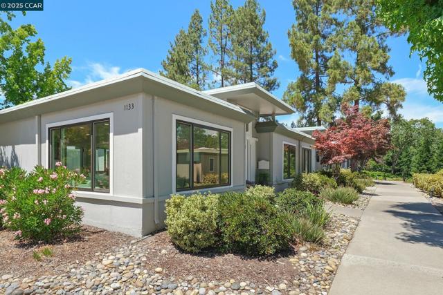 1133 Golden Rain Road, Walnut Creek CA: https://media.crmls.org/mediaz/b2979bb3-e361-4c84-90bf-28484ac28d93.jpg