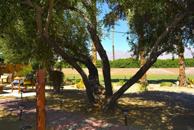 Detail Gallery Image 35 of 48 For 1010 Palm Canyon Dr #294, Borrego Springs,  CA 92004 - 2 Beds | 2 Baths