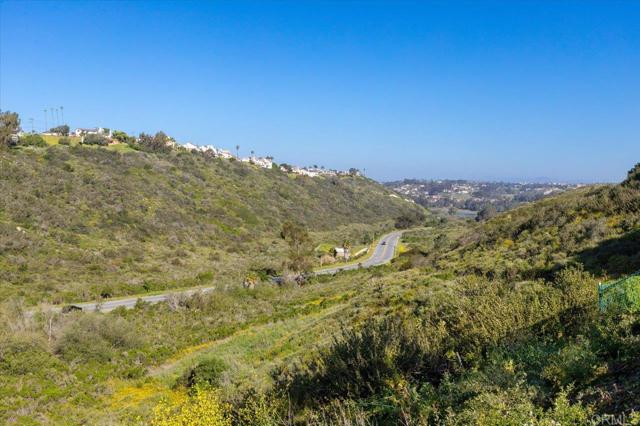 Detail Gallery Image 29 of 57 For 1560 Hawk View Dr, Encinitas,  CA 92024 - 4 Beds | 4 Baths