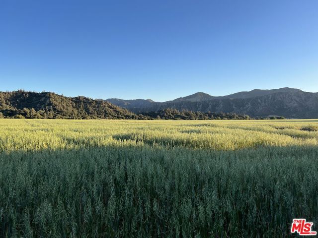 29433 Highway 33 Highway, Maricopa CA: https://media.crmls.org/mediaz/b29df15f-47ba-42bc-b938-f65f6703f2a2.jpg