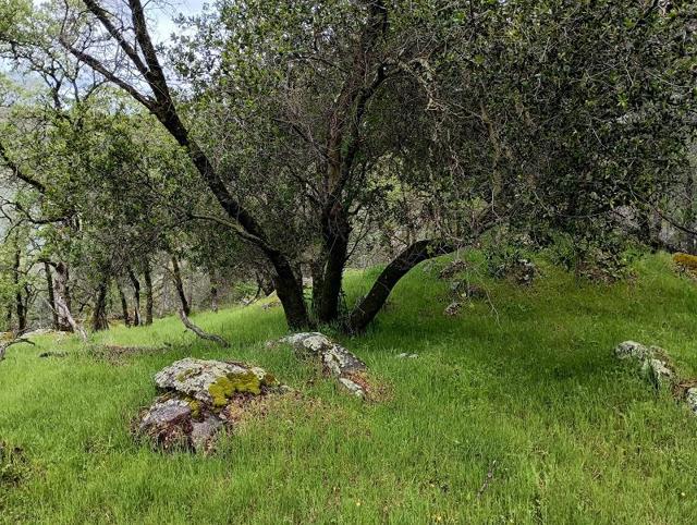 1119 Montauk Vista,  CA: https://media.crmls.org/mediaz/b2b7586f-d455-4a4a-9e91-a6e87247cba0.jpg