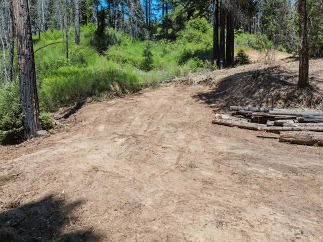 0 & 06 Branson, Boulder Creek CA: https://media.crmls.org/mediaz/b2b7c908-b8fb-4016-8de7-e636267b3e5a.jpg