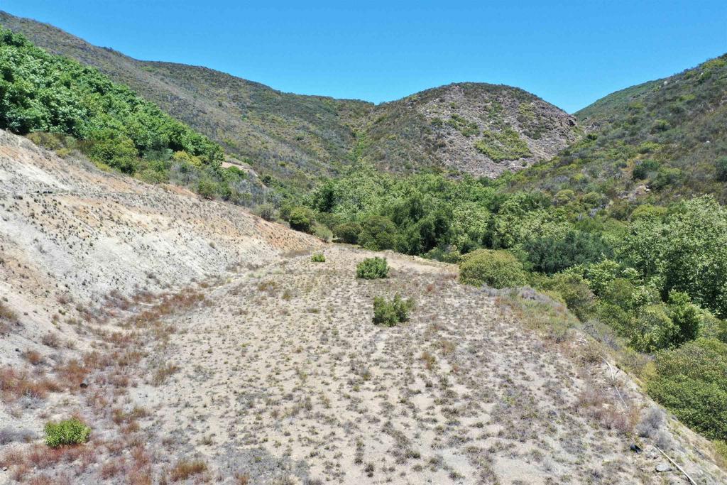 MLS #PTP2506290 image #5