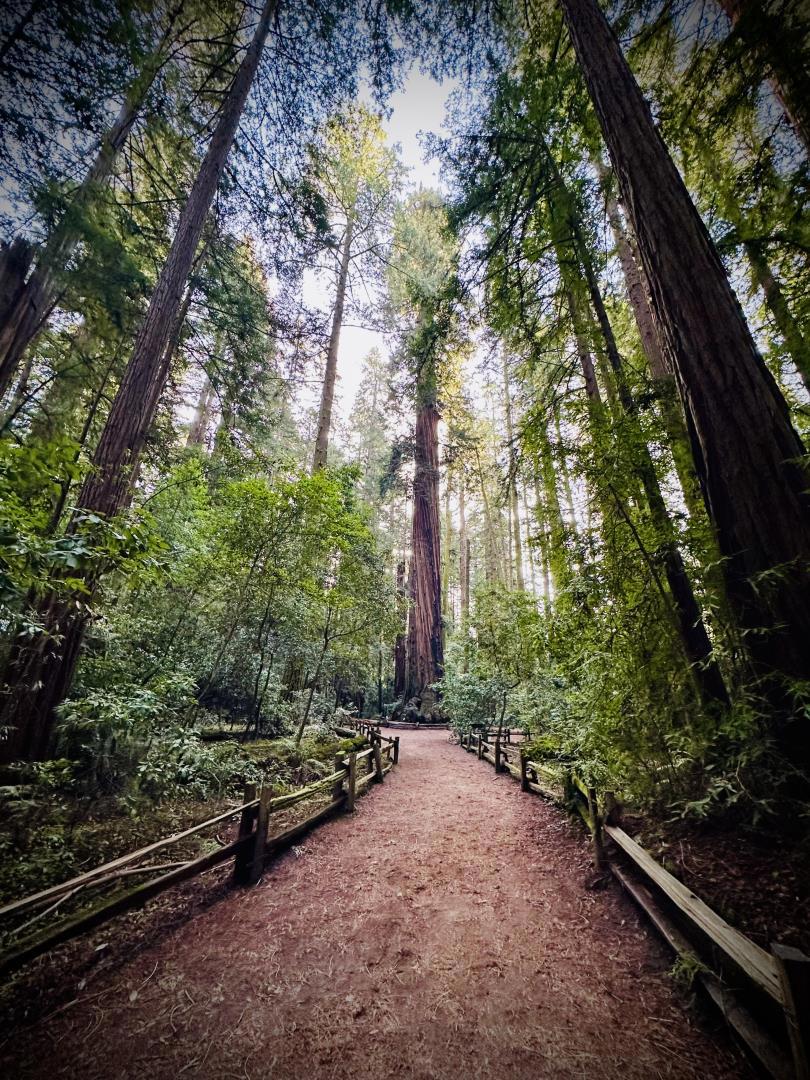 https://media.crmls.org/mediaz/b2cd4967-2b4e-4a79-bce0-9eaf552a4f14.jpg?preset=X-Large