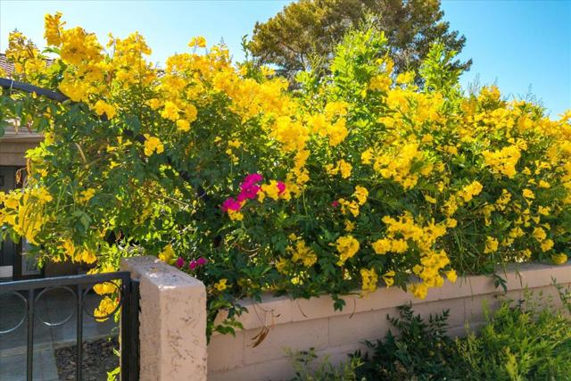 44289 Venice Court, Palm Desert CA: https://media.crmls.org/mediaz/b2cde916-5503-40c8-a548-78e50c0be025.jpg