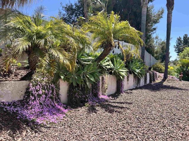 5241 Alamosa Park Dr, Oceanside CA: https://media.crmls.org/mediaz/b2d4a15c-038e-4a53-a68f-3958dcb51cc3.jpg