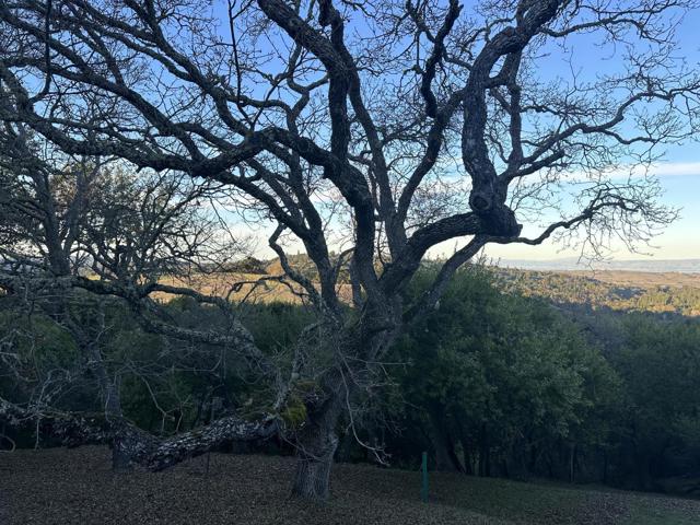 16 Franciscan, Portola Valley CA: https://media.crmls.org/mediaz/b2e017f9-59e6-47b0-8f71-818f34f0875c.jpg