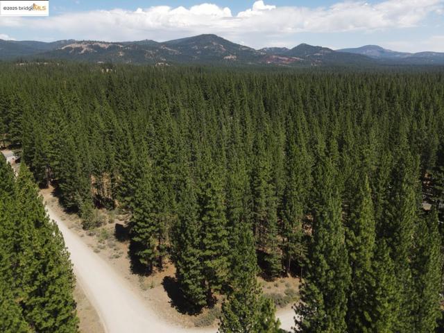 45 Claireville RD, Portola CA: https://media.crmls.org/mediaz/b2e5637b-5f9c-4180-9985-8026a41240d3.jpg