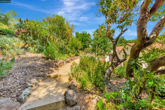 23 El Verano, Orinda CA: https://media.crmls.org/mediaz/b2e6dc9d-d71a-4405-ba84-ef5b67e8ecbc.jpg