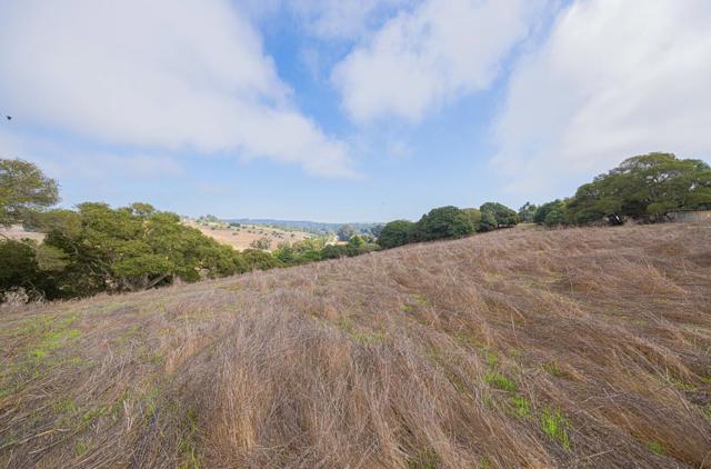 15108 Castroville Boulevard, Castroville CA: https://media.crmls.org/mediaz/b2ec8c1c-9bbd-439f-859c-986d16f338b0.jpg