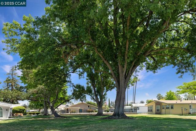 2019 Dalis Drive, Concord CA: https://media.crmls.org/mediaz/b2f0b503-0b14-4154-8c17-0a3c4dcf8796.jpg