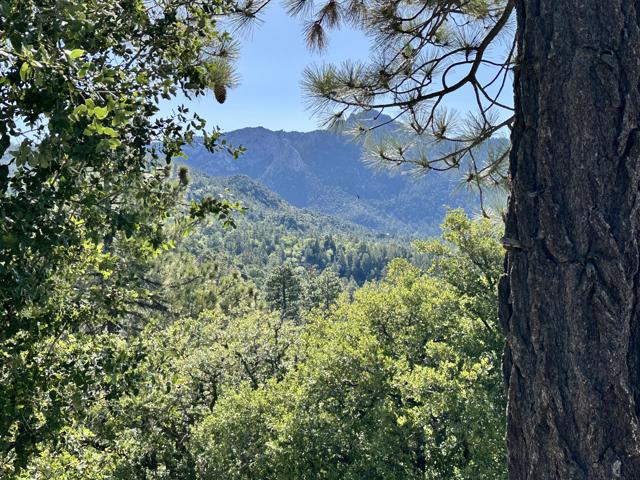 0 Mountain View, Idyllwild CA: https://media.crmls.org/mediaz/b2fcda63-7443-4b50-9af8-5cfecd65e45d.jpg