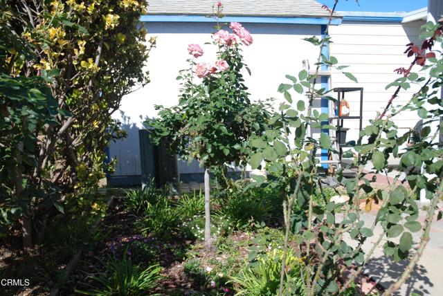 Detail Gallery Image 30 of 35 For 4388 E Central Ave #63,  Camarillo,  CA 93010 - 2 Beds | 2 Baths