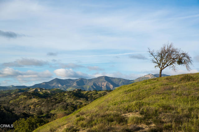 Detail Gallery Image 38 of 54 For 3570 Woodstock Rd, Santa Ynez,  CA 93460 - 6 Beds | 5/1 Baths