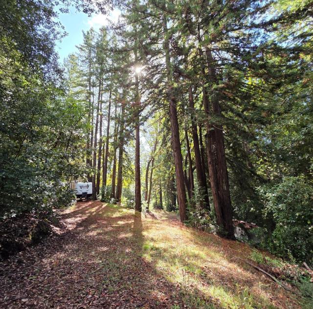 1140 Warren Drive, Santa Cruz CA: https://media.crmls.org/mediaz/b314a498-4f16-40d9-961c-07629091cd6f.jpg