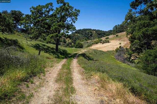 0 Monticello Rd., Lafayette CA: https://media.crmls.org/mediaz/b318a477-ea1e-4861-a171-80b85224a186.jpg
