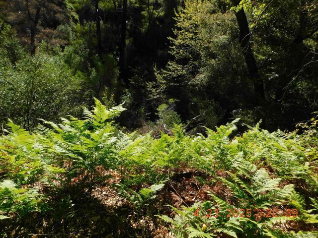 0 San Felipe Rd,  CA: https://media.crmls.org/mediaz/b324f953-a28a-4ad2-842a-6a679a4de969.jpg