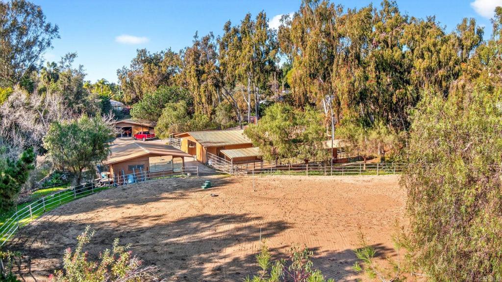 916 Mimosa - photo 17