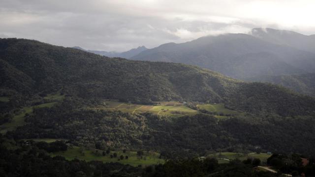 18 Asoleado Drive, Carmel Valley CA: https://media.crmls.org/mediaz/b339b95a-fa46-404c-9064-03550fa54e04.jpg