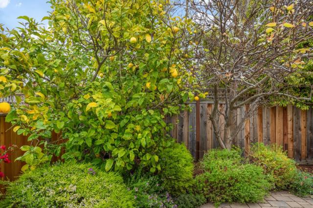 1394 Marlin Avenue, Foster City CA: https://media.crmls.org/mediaz/b33fa880-b03c-4f1c-832b-711aee265150.jpg