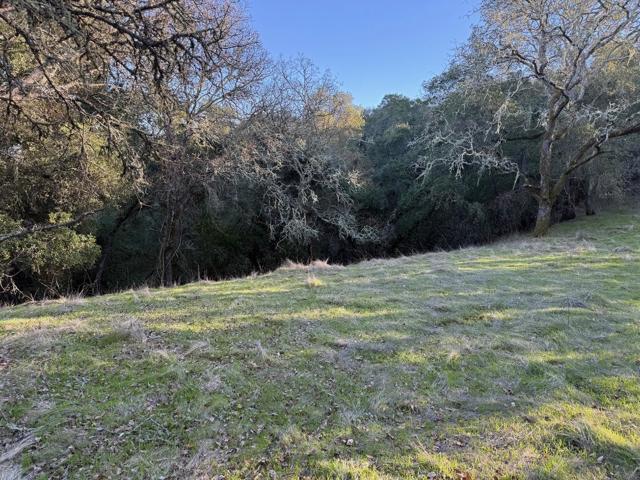 0 Chesbro Lake Drive, Morgan Hill CA: https://media.crmls.org/mediaz/b3464730-352f-472b-b64b-960836d1d764.jpg